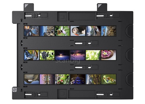 Epson porta strisce - kb,