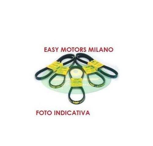 9915350 cinghia - cinghia, di