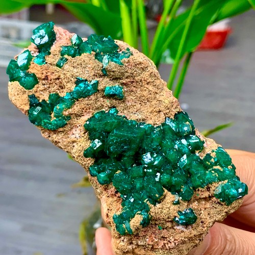 205g diottasi verde naturale - 205g,