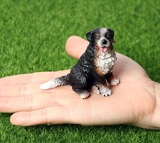 Bernese Mountain Dog Animale