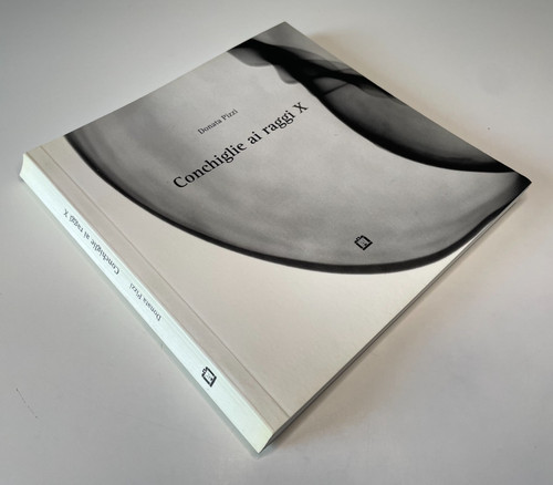 Donata pizzi conchiglie ai - donata,