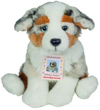 Australian Shepherd di Teddy