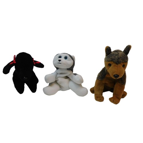 Lotto cuccioli 7 - lotto, ty,