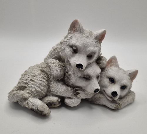 Trio cuccioli lupo - cuccioli,