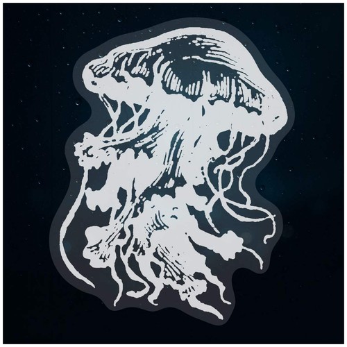Meduse nuoto - 'meduse, nuoto'