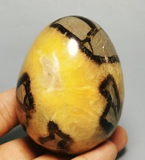 Uovo lucido DRAGON SEPTARIAN