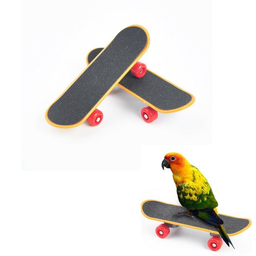 Mini skateboard allenamento