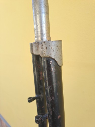 Bianchi bis forcella 28 - bianchi,
