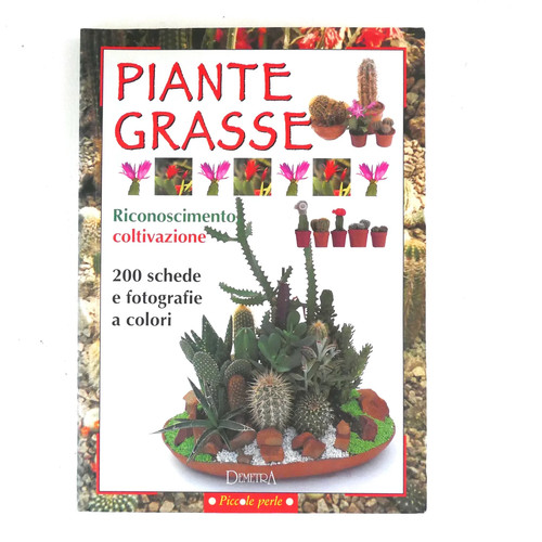 Piante grasse riconoscimento - piante,