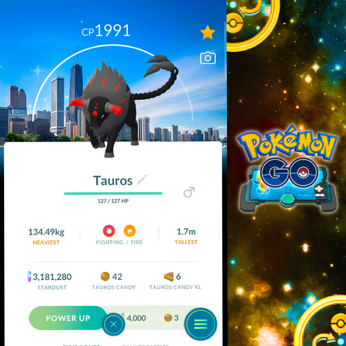 Shiny tauros blaze - tauros, chicago