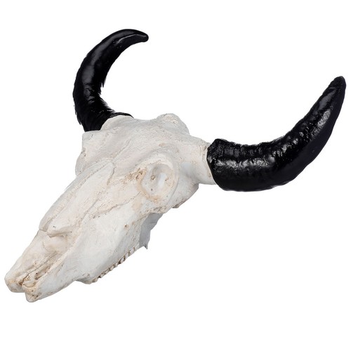 Teschio mucca parete - mucca,