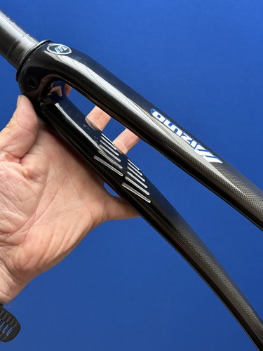 Forcella carbonio design - in,