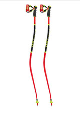 LEKI WCR SG/DH 3D BASTONI SCI