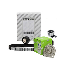 Kit distribuzione Fiat Bravo