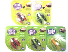 Maiale scarabeo selvatico