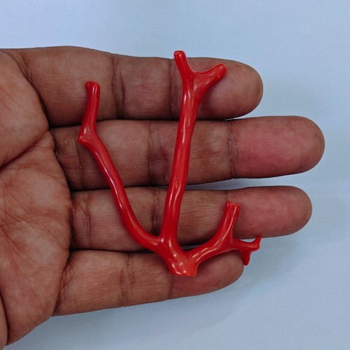 Ramo corallo rosso naturale - ramo,