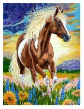 Cavallo che corre in campo di