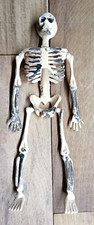 SCHELETRO UMANO SNODABILE IN