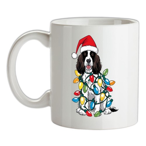Springer spaniel cane - spaniel,