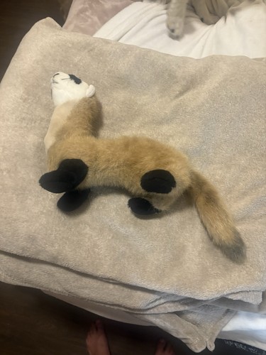 Peluche furetto piedi neri