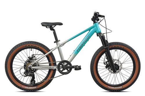 Mtb torpado tigre - 20, ty21
