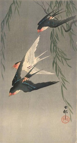 Ohara koson rondini - ohara,