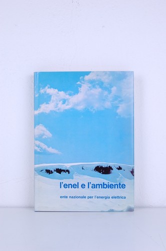 Enel ambiente ente - l’ambiente,