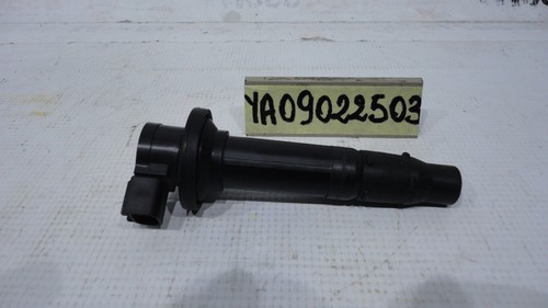 Bobina accensione start coil - bobina,