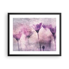 Poster 50x40cm Fiori rosa