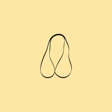 Cinghia di trasmissione per