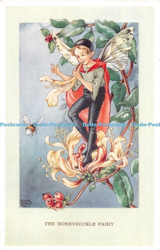 R298967 the honeysuckle fairy - honeysuckle,