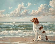 Spaniel 8x10 stampa opaca