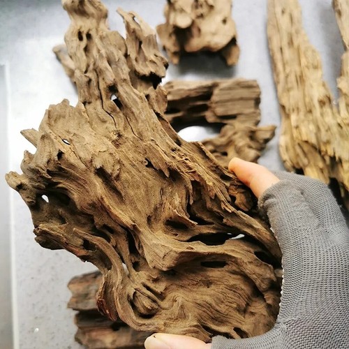 Legno per acquario - per,