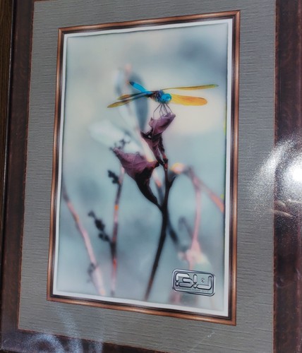 Contemporary modern art photo - modern,