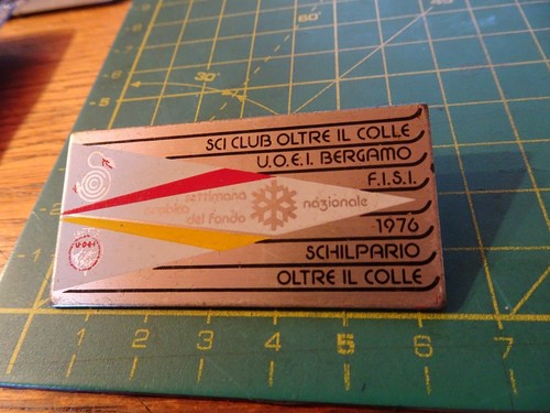 Pin spilla distintivo sci - spilla,