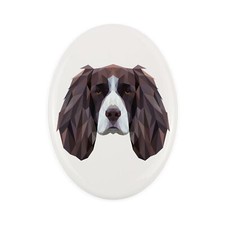 Springer Spaniel inglese
