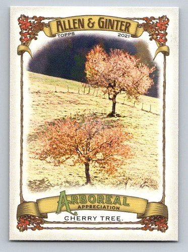 2021 topps allen ginter - &,