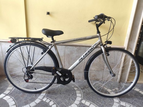 Bicicletta city bike - bicicletta, uomo