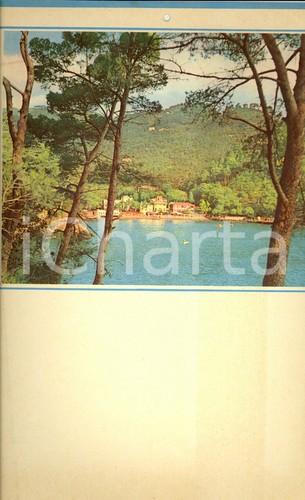 1955 modernariato - ca,