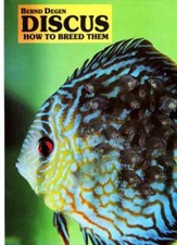Discus: How to Breed