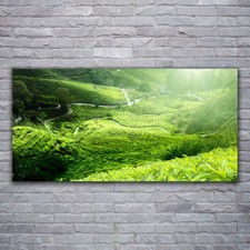 Stampa acrilica arte da parete