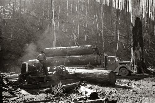 Foto tillamook county oregon - foto:,