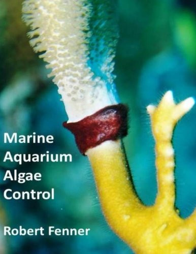 Marine aquarium algae control - marine,