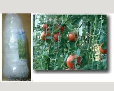 RETE SOSTEGNO RAMPICANTI 50 mt