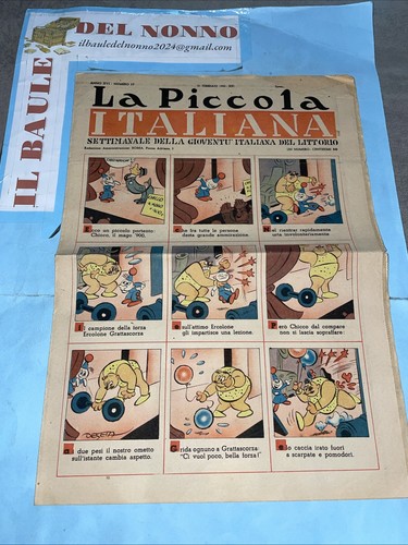Piccola italiana - italiana,