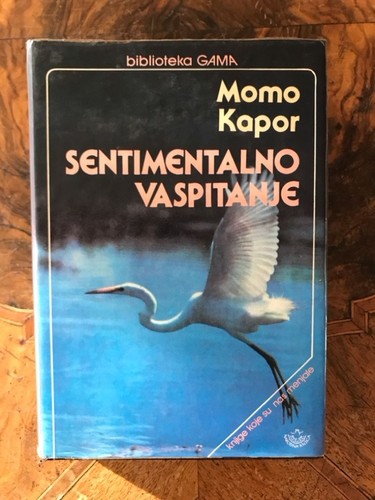 Sentimentalno vaspitanje - sentimentalno,