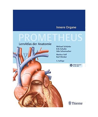 Prometheus innere organe - prometheus,