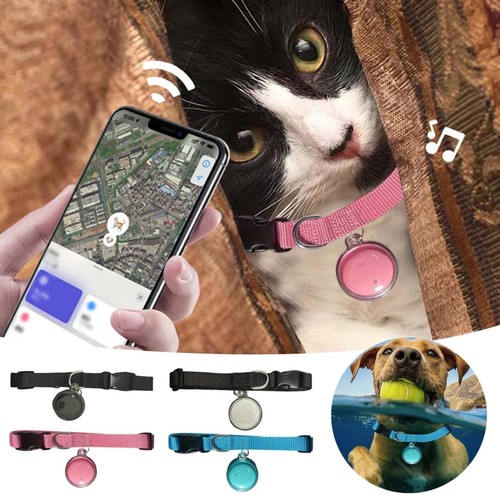 Gps collare per - gps, gatti