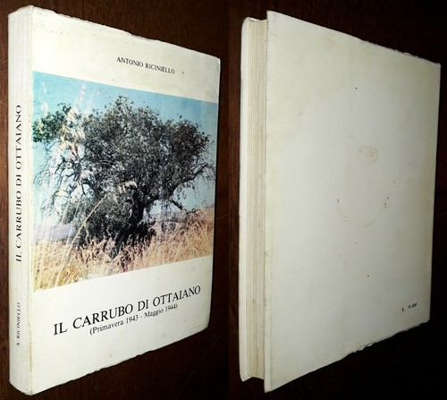 Carrubo ottaiano - carrubo, di