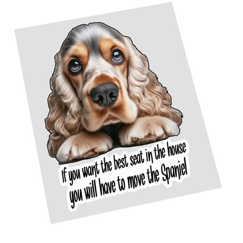 Cocker spaniel cane migliore - spaniel,